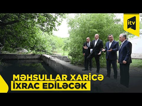 „Pinco Pinco Onlayn Kazino: Azerbaycanda Oynamaq!”