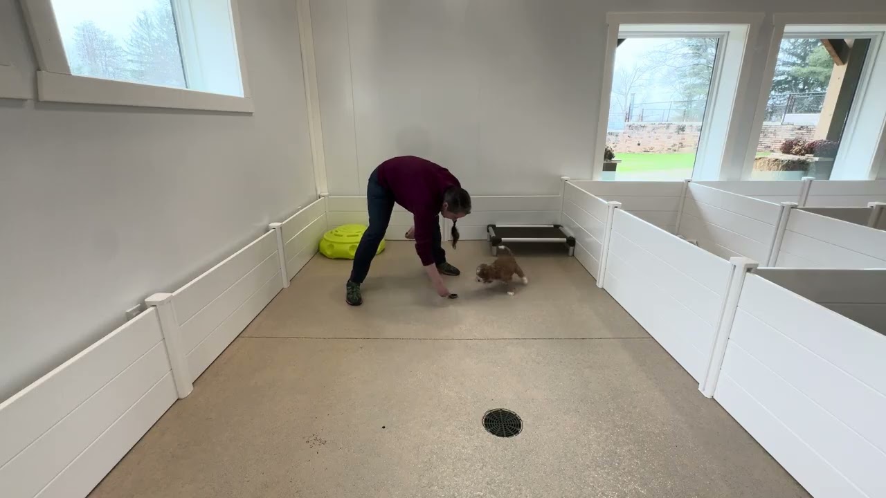 Cooper Play Session 03/05