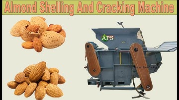 Almond Processing Cleaning, Hulling Shelling & Processing grading and cracking solution