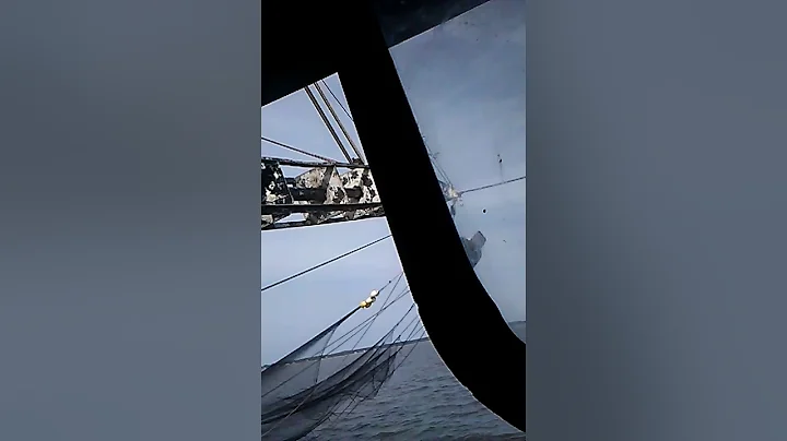 Little shrimping
