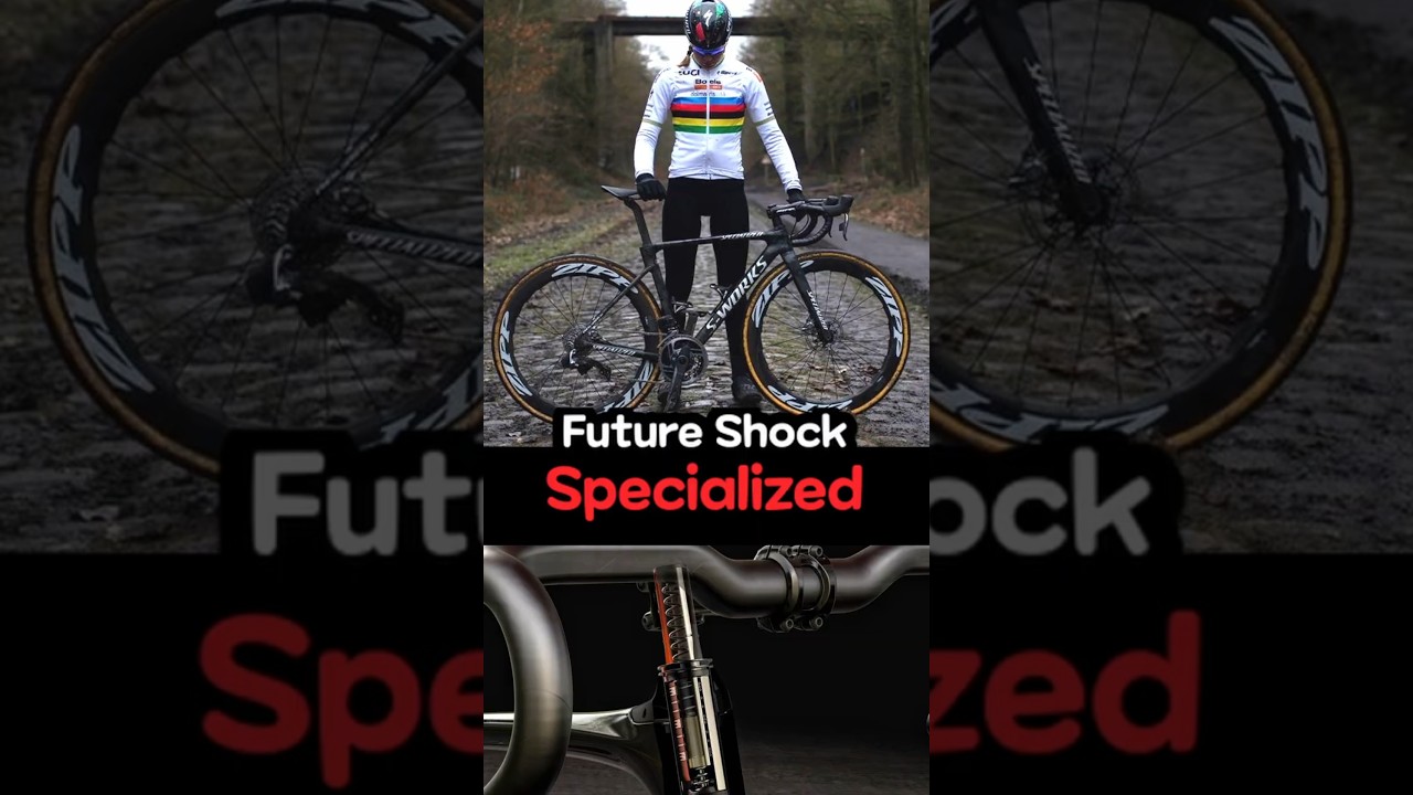 Hidden Comfort ⚡ Specialized Future Shock