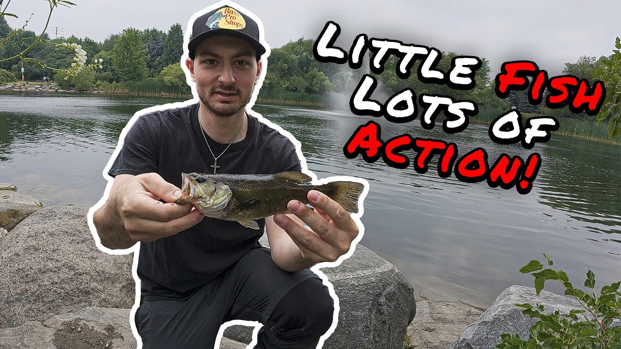 I Fished for Bass and Caught Every Dink in My Pond!