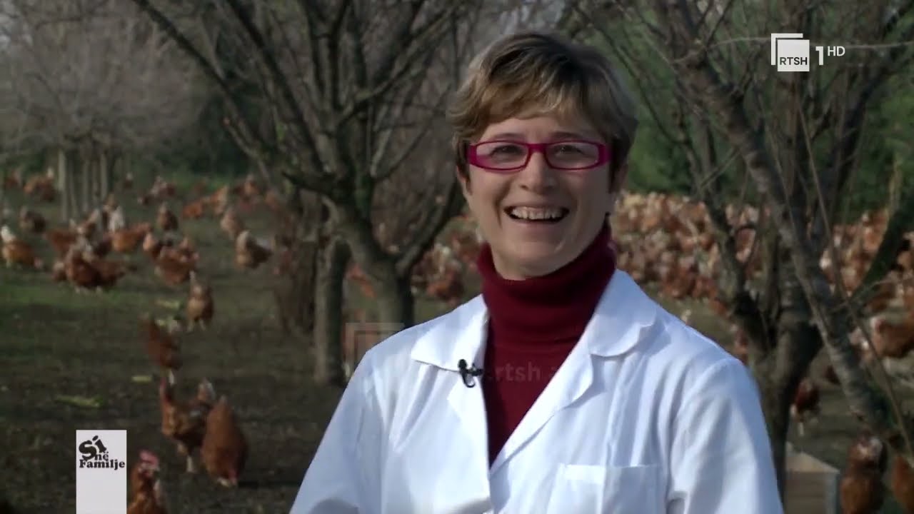 Ferma për vezë me pula të rritura në natyrë; Ermonela Gumi - Administratore | “Si në familje”