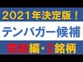 2021年はこれで決まり！ テンバガー候補 【完結編・2銘柄】