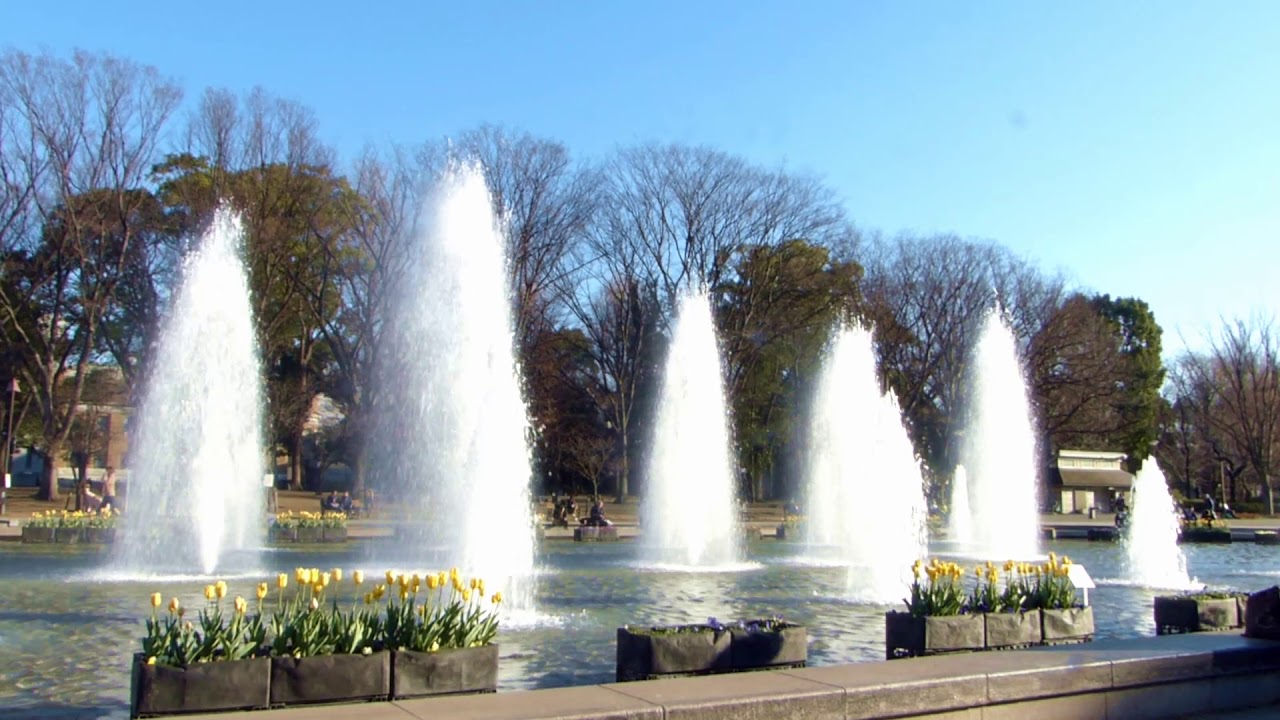 上野恩賜公園の大噴水 Youtube