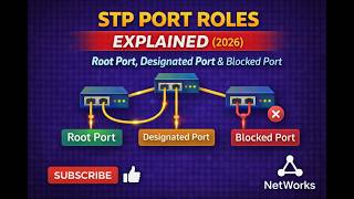 STP Port Roles Explained (2026) – Root Port, Designated Port & Blocked Ports Profile