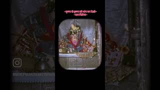 #bankeybihari #pujashree #kripa #temple #vrindavan #indreshupadhyayji #fyp #radha #bhakti #darshan