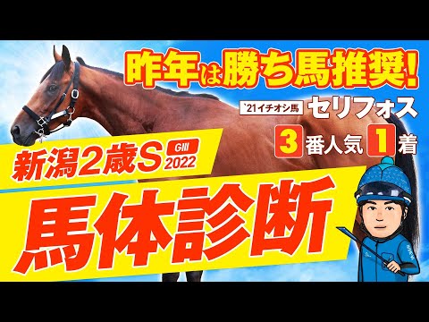 【新潟２歳ステークス 2022】昨年は◎本命が３人気１着！得意の２歳戦をズバッと仕留める！某大手牧場の元スタッフが見抜く重賞馬体診断！重賞フォトパドック【競馬 予想】