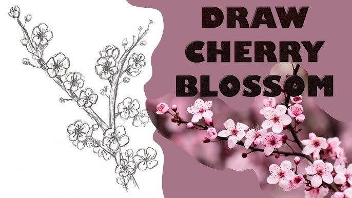 How to Draw a Cherry Tree - YouTube