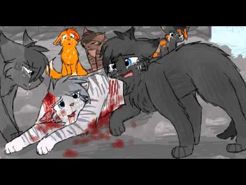 Top 5 Saddest Warrior Cat Deaths - YouTube