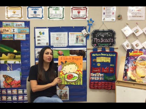 Wonders Big Book