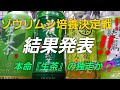 【ホシタカめだか】#026 ゾウリムシ培養決定戦‼️結果発表‼️