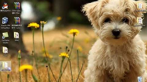 界面设计 02   零基础入门学习 Delphi 043｜小甲鱼—零基础入门学习 Delphi