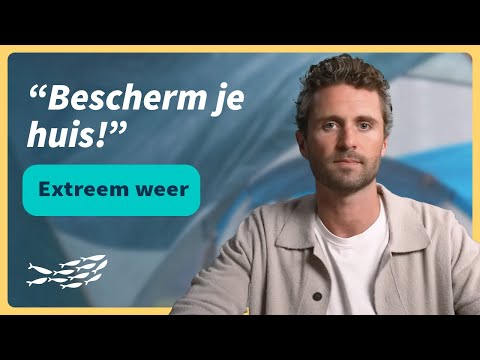 Klimaatschade: verklein de kans op schade aan je woning! - video from Interpolis