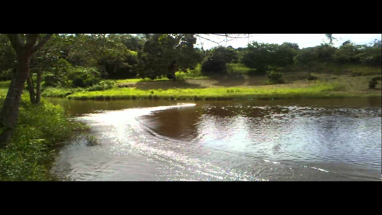 Micro Hydroplane Rc Boat