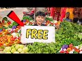 I opened free vegetables shop in ranchi jharkhand