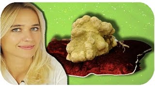 Bu Pahalı Yiyecek Kaç Para? - Cezalı Yarışma