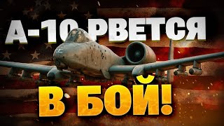 А-10 ВЫШЕЛ НА ОХОТУ! Обзор легендарного штурмовика США!