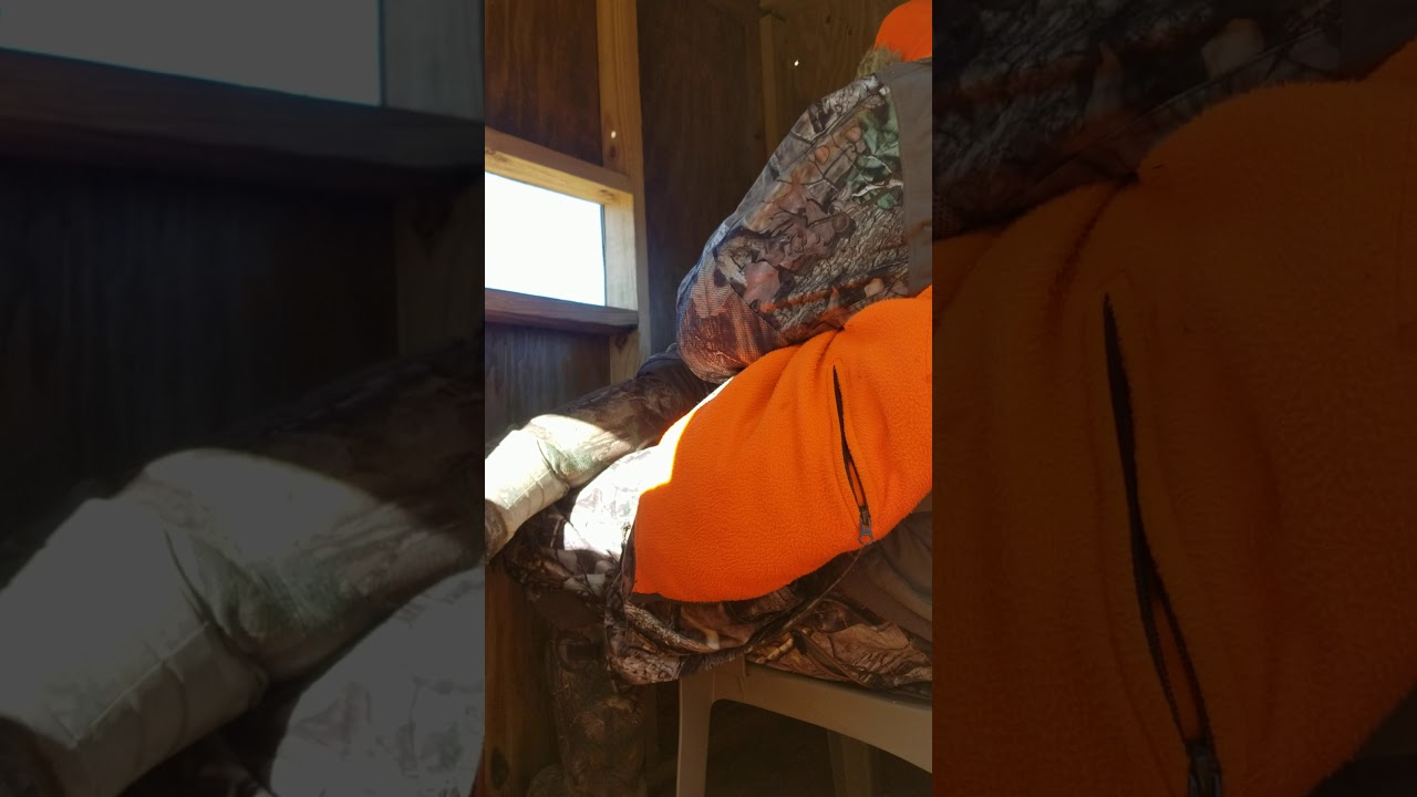 Caught sleeping in the deer stand YouTube