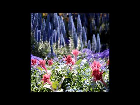 D.W. - Expectations (Official Audio) auf YouTube ansehen D.W. - Expectations (Official Audio) auf YouTube ansehen
