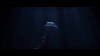 Jelly fish (C4D, Octane render, AE,)