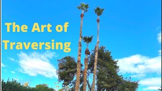 The art of traversing (2 palms)