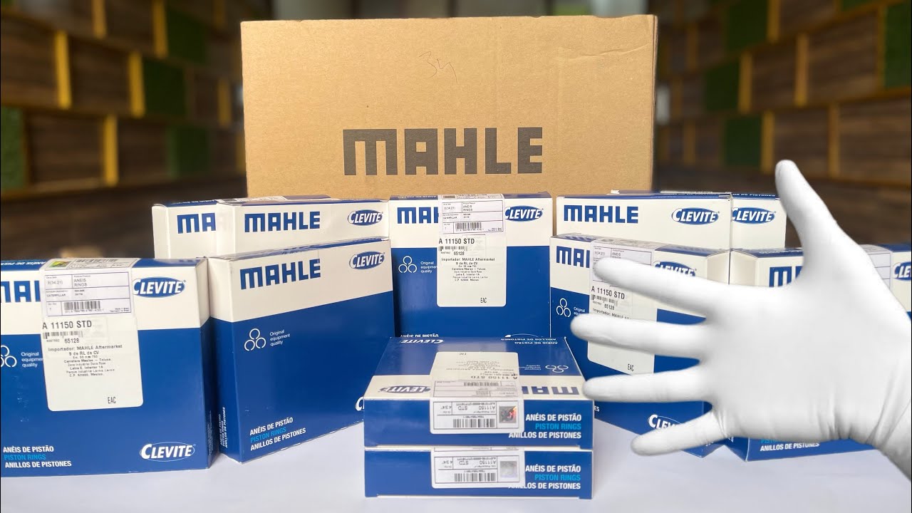 MAHLE 3304 4406 original piston rings