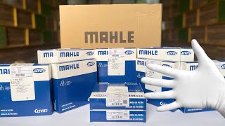 MAHLE 3304 4406 original piston rings
