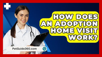 How Does An Adoption Home Visit Work? - PetGuide360.com