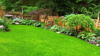 BEST! 100+ PRIVACY FENCE LANDSCAPING DESIGNS | BENEFITS, DESIGNING IDEAS AND BUDGETFRIENDLY FENCE