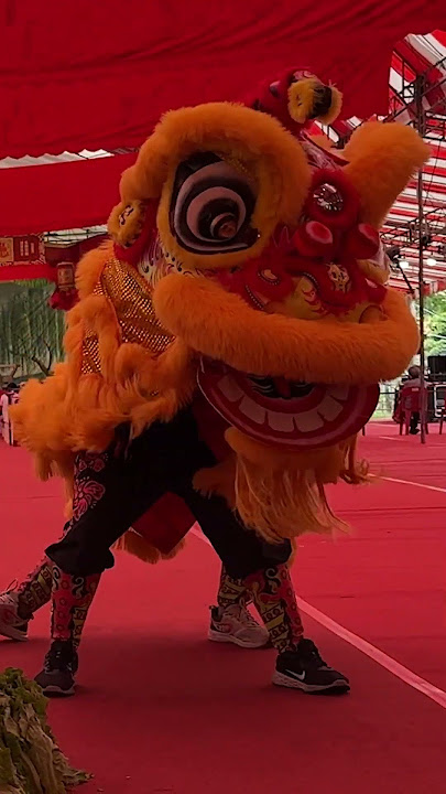 Dragon and Lion Dance by Khoon Yew Athletic Association | 芋峽塘福德宫, 庆祝土地公婆宝誕