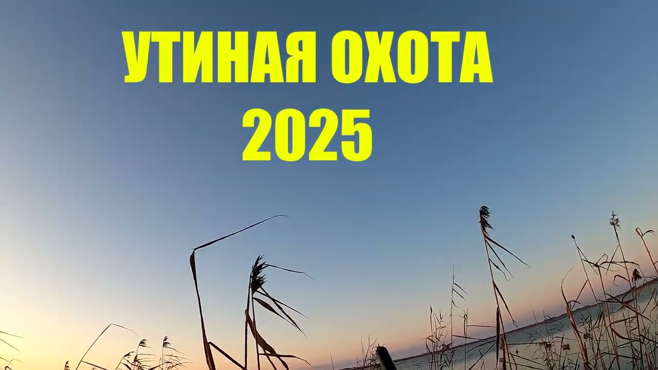 Утиная охота 2025.  После снежной бури