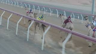 ميدان الـذيد - شـ 1 فطامين  الشاهينية لـ احمد سعيد حارب بالعجيد الكتبي التوقيت 2:07:13