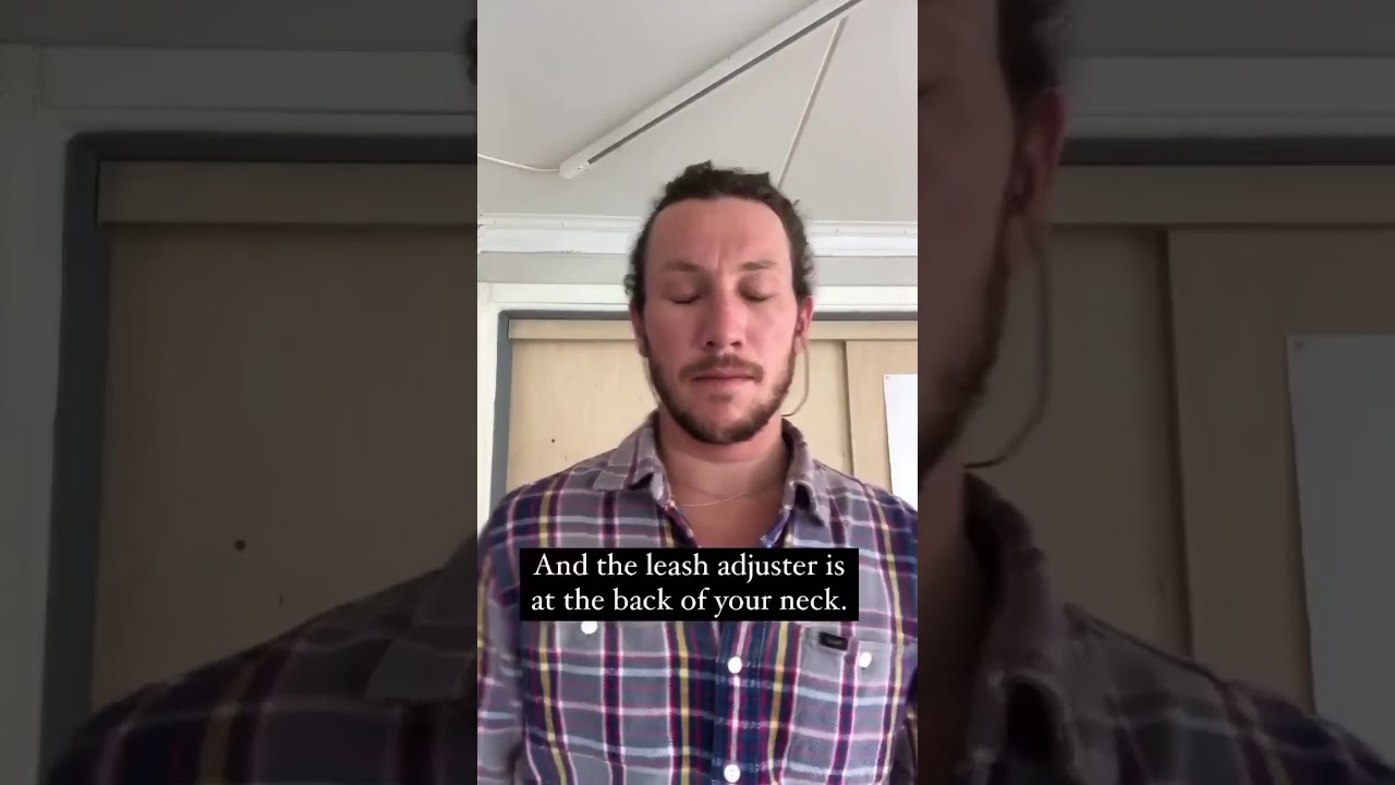 How to wear SurfEars Correctly