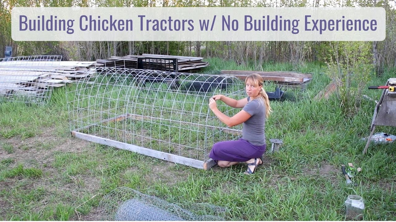 Life in a Tiny House  - Building a Chicken Tractor, No Building Experience & Growing Chicks
