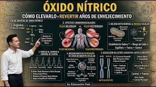 Por Fin Sabemos Cómo ELEVAR EL ÓXIDO NÍTRICO y REVERTIR años de ENVEJECIMIENTO | Richard Feynman Por Fin Sabemos Cómo ELEVAR EL ÓXIDO NÍTRICO y REVERTIR años de ENVEJECIMIENTO | Richard Feynman