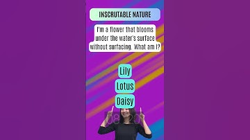 Mind-Bending Riddle Challenge: Can You Solve It? #riddles 4