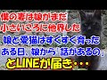 #74【猫の感動・泣ける話】僕の妻は娘がまだ小さいころに他界した。娘と愛猫はすくすく育った。ある日、娘から「話があるの・・」とLINEが届き・・・
