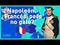 🇫🇷🇫🇷DIFERENCIA entre FRANCÉS, FRANCO, GALO, FRÁNCICO 🇫🇷🇫🇷