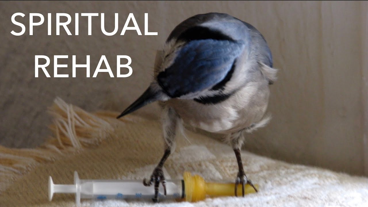 Духовная реабилитация