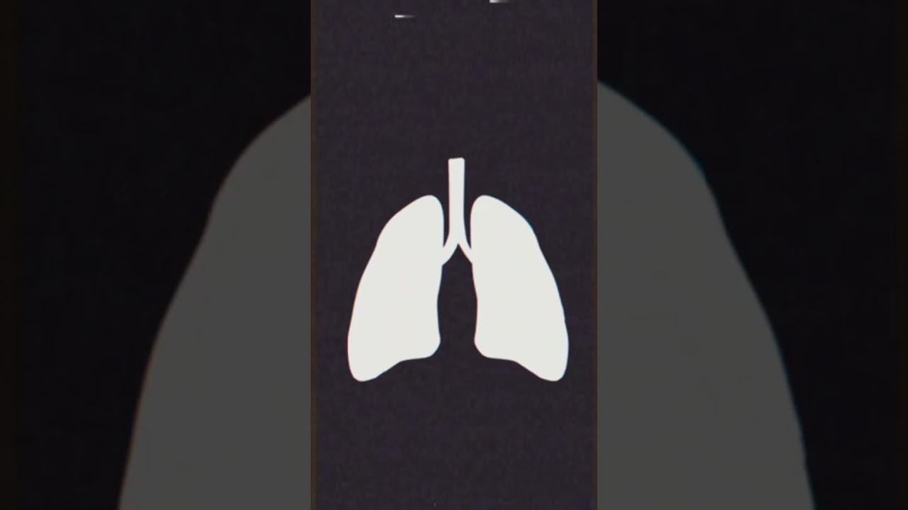 the cocaine is not good for You 