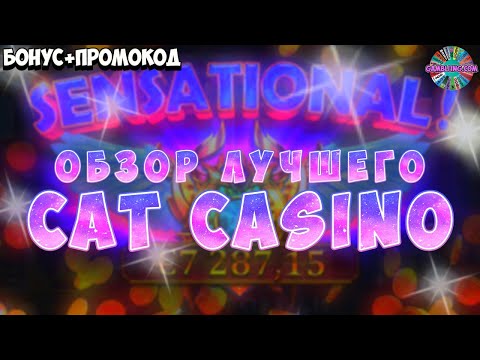 Бұл кünделікті тегін айналымдары депозитсіз бонус қазіносы - Кэт казиносына келеңіз!