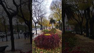 End of Autumn in Lisbon PORTUGAL