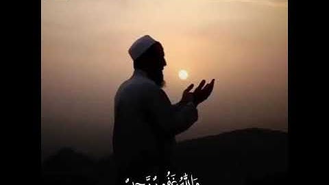 أفلا يتوبون إلى الله ويستغفرونه..قران كريم