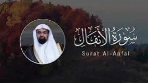سورة الأنفال Al - Anfal كامل ناصر القطامي بدون اعلانات #ناصر_القطامي #القرآن_الكريم