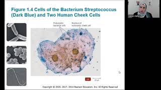 Chapter 1 [Part 1/1] - Introduction to Microbiology