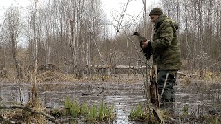 На селезня с чубарой подсадной | Охота в тайге | Весна 2023