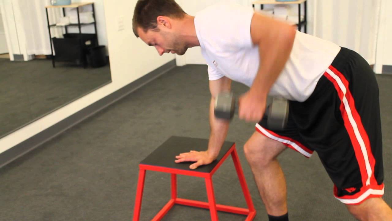 exercise 14.1 class 11 1-Arm Row