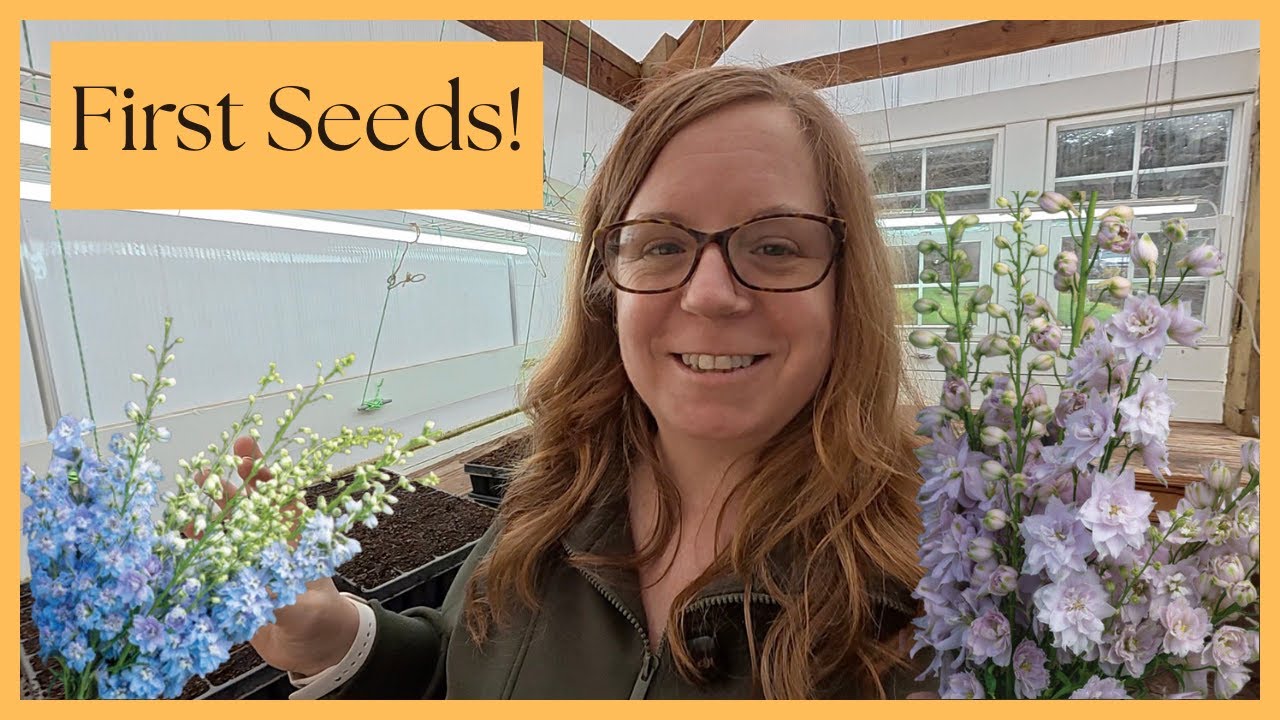Высажены первые семена для сезона срезки цветов 2026 года + Экскурсия по теплице