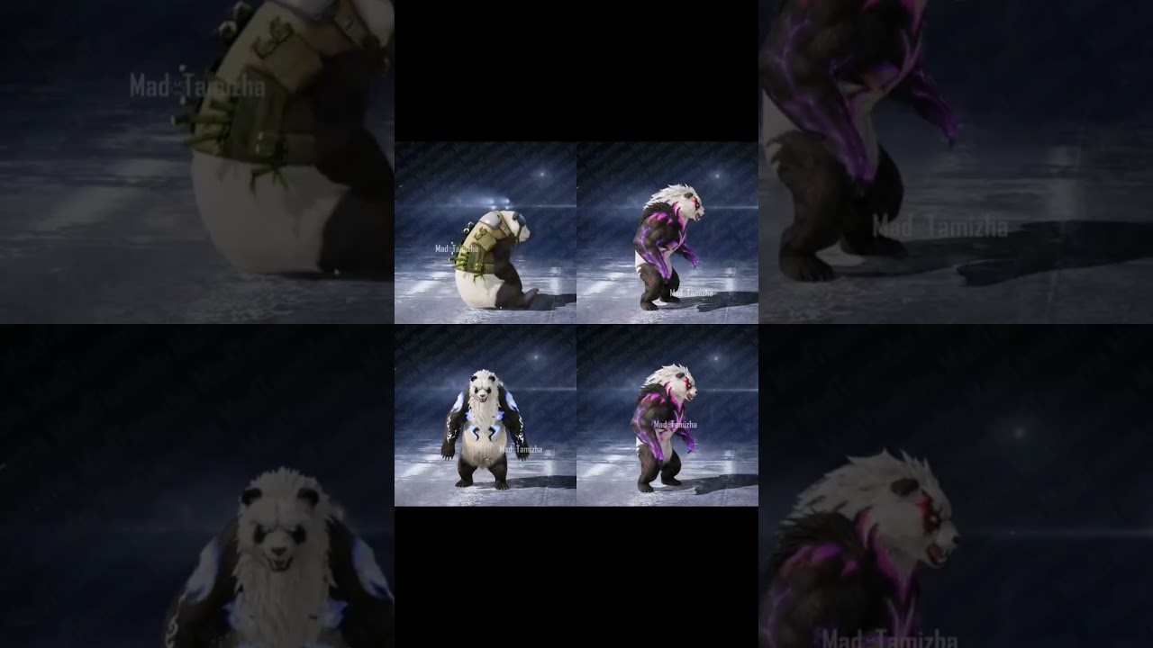 Next Panda Companion 